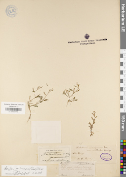 LE 01037172