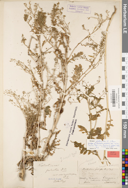 LE 01037176