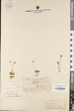 LE 01037285