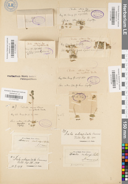 LE 01037293