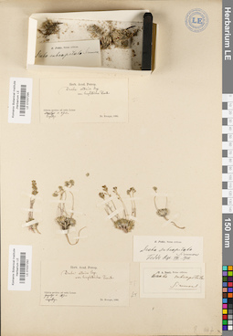 LE 01037292