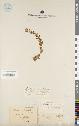LE 01037407