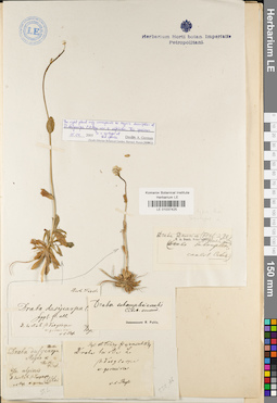 LE 01037425