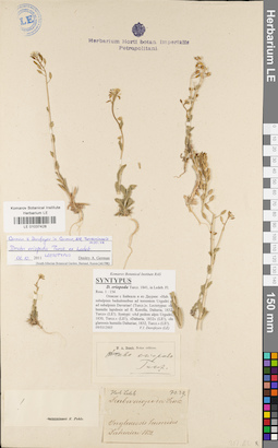 LE 01037428