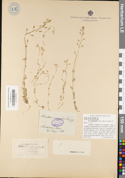 LE 01037433