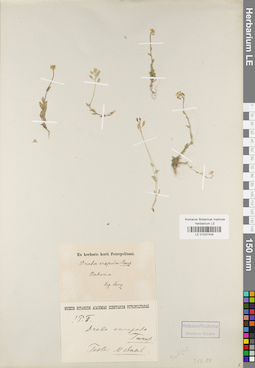 LE 01037434