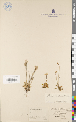 LE 01037441