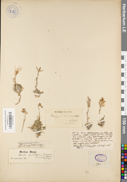 LE 01037455