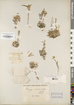 LE 01037456