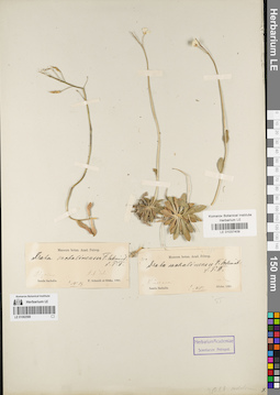 LE 01082588