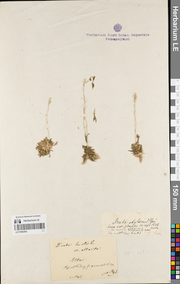 LE 01082592