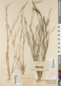LE 01156903