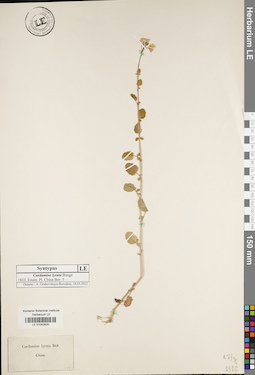 LE 01042620