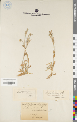 LE 01037486