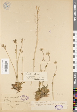 LE 01037488