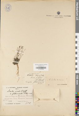 LE 01037505