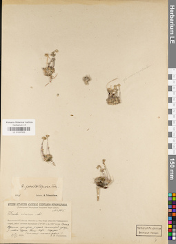 LE 01037525