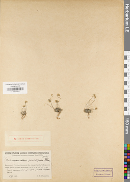 LE 01037527