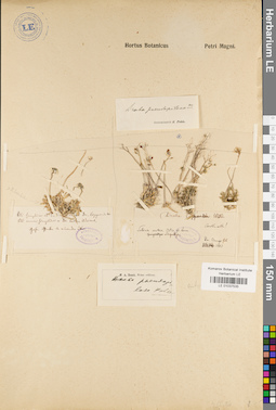 LE 01037535