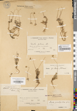 LE 01037536