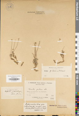 LE 01037537