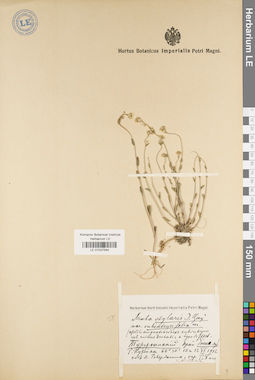 LE 01037564