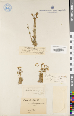 LE 01037571