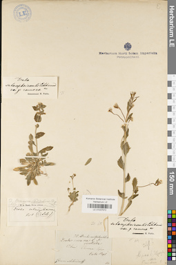 LE 01037572