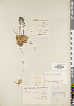 LE 01038552