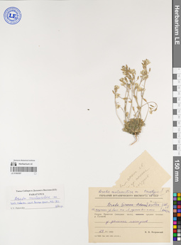 LE 01082597