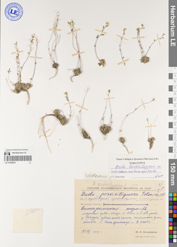 LE 01082604