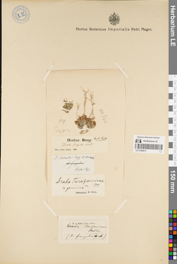 LE 01082612