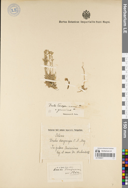 LE 01082617