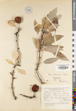 LE 01010156