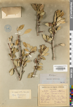 LE 01010183