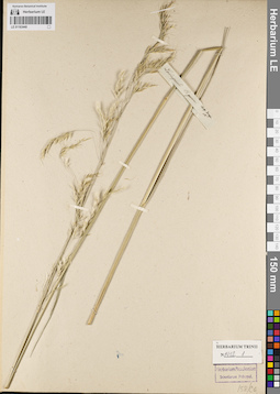 LE 01163440