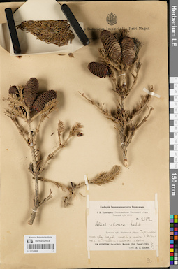 LE 01148866