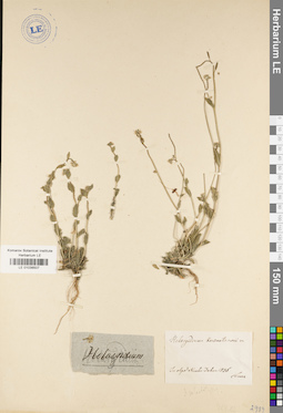 LE 01038507