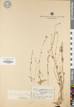 LE 01038508
