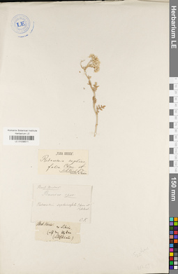 LE 01038511