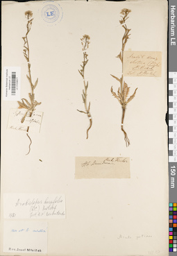 LE 01038577