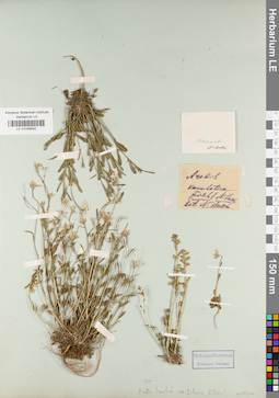 LE 01038582