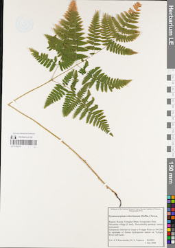 LE 01182375