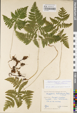 LE 01182397