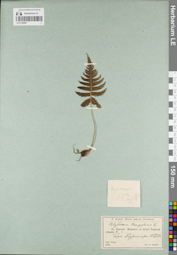 LE 01182497