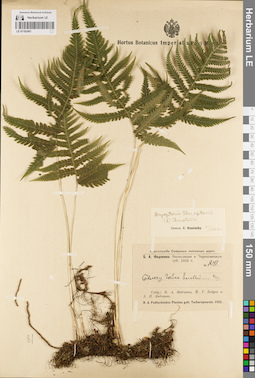 LE 01182461