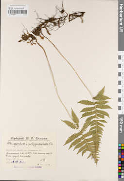 LE 01182471