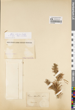 LE 01191422