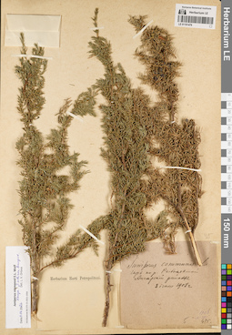 LE 01191479