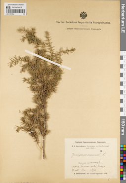 LE 01191494